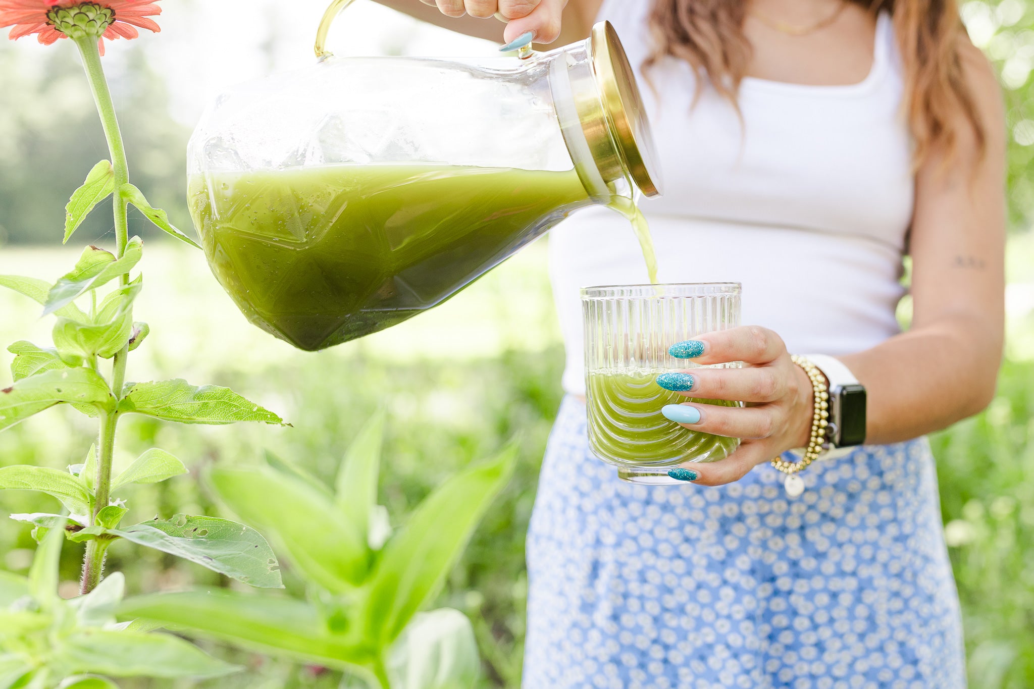 Premium Organic Matcha 250g – bold, bulk ceremonial Japanese matcha