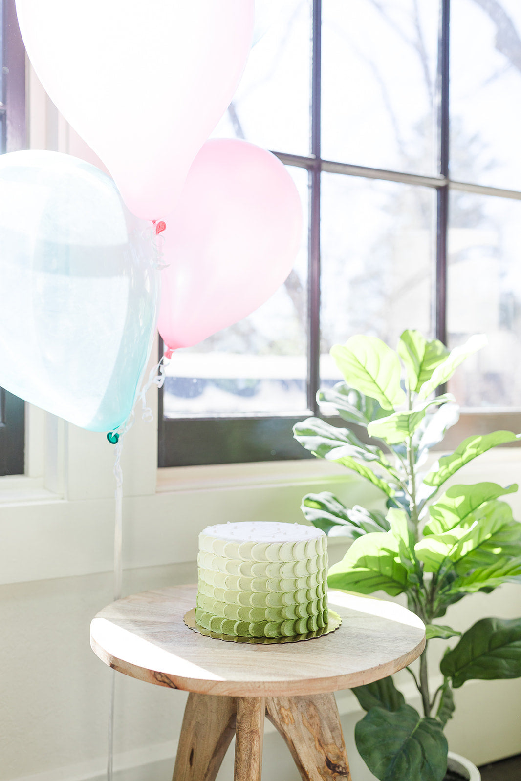 Matcha Birthday Cake with Balloons and a plant