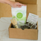 Hand holding Matcha Nude Premium Matcha above open matcha starter kit box
