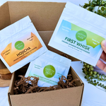 Matcha Nude First Whisk and Hojicha sampler bags inside kraft gift box with Premium Matcha