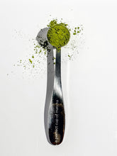 Load image into Gallery viewer, A perfect cup of matcha spoon filled with matcha powder